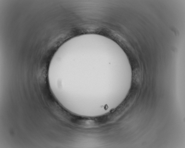 X0000113910509200910151420