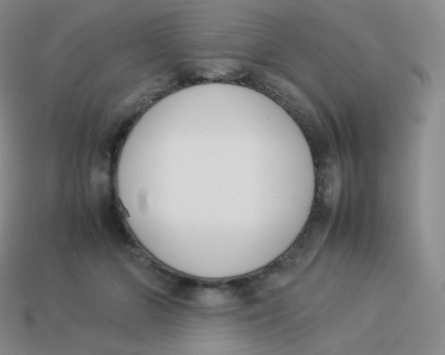 X0000113910510200910151420