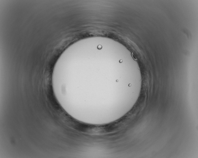 X0000113910513200910151420