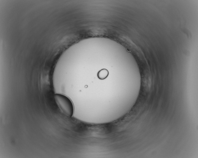 X0000113910516200910151420