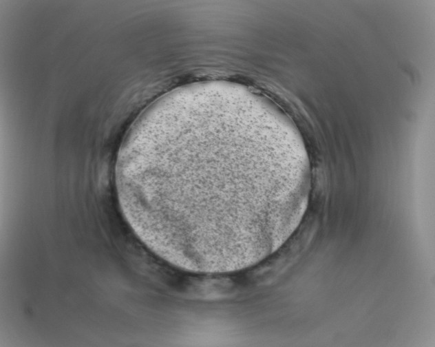 X0000113910517200910151420