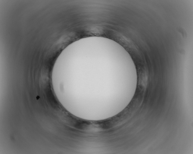 X0000113910518200910151420