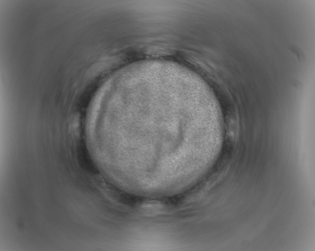 X0000113910519200910151420