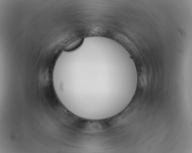 X0000113910520200910151420