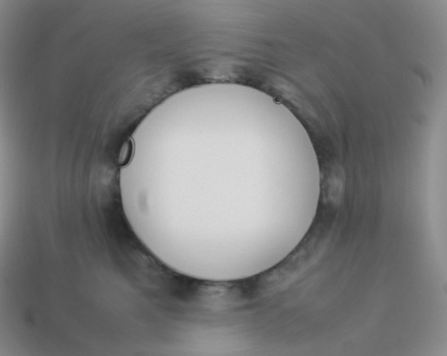 X0000113910521200910151420