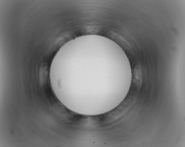 X0000113910522200910151420