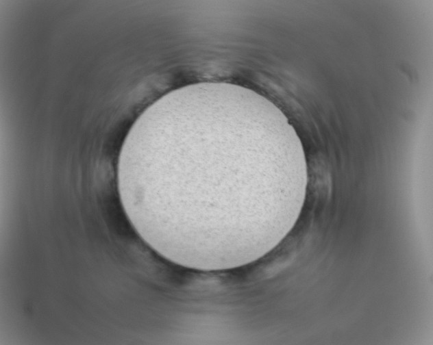 X0000113910523200910151420