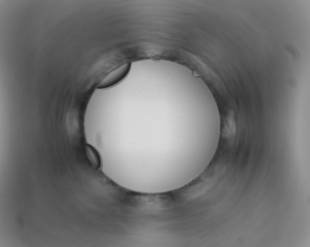 X0000113910524200910151420