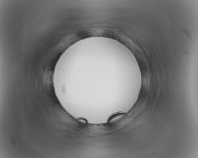 X0000113910525200910151420