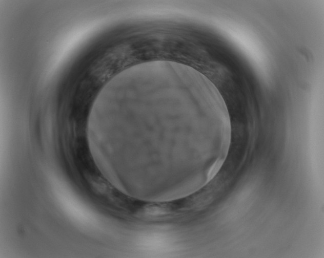 X0000113910526200910151420