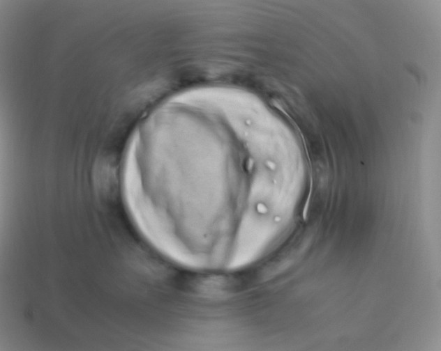 X0000113910527200910151420