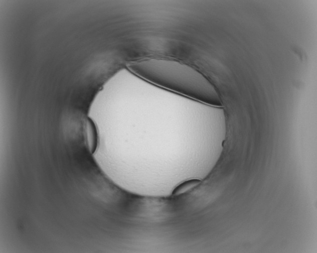 X0000113910528200910151420