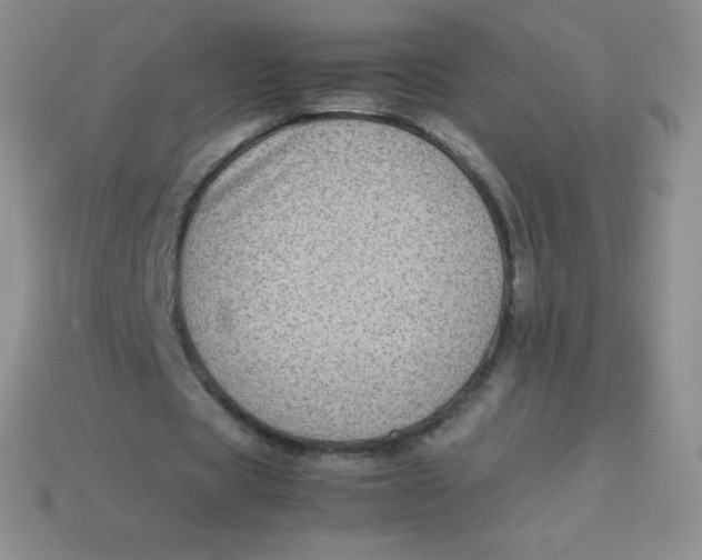 X0000113910529200910151419