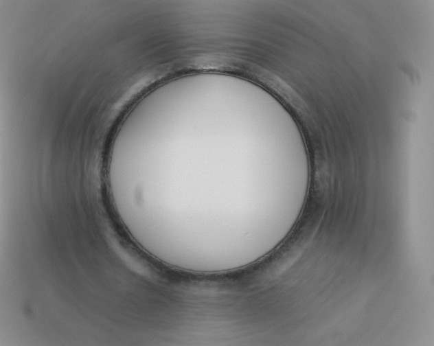 X0000113910530200910151419