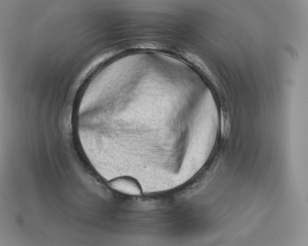 X0000113910531200910151419