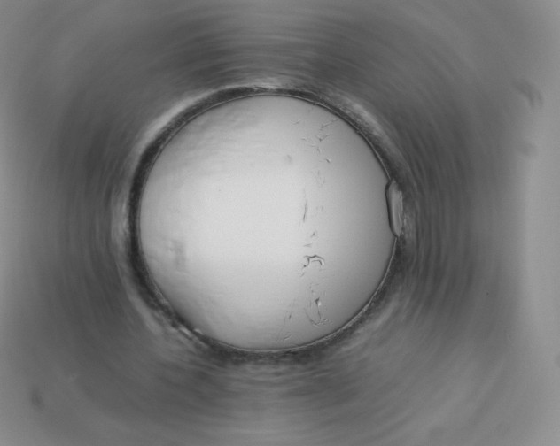 X0000113910532200910151419