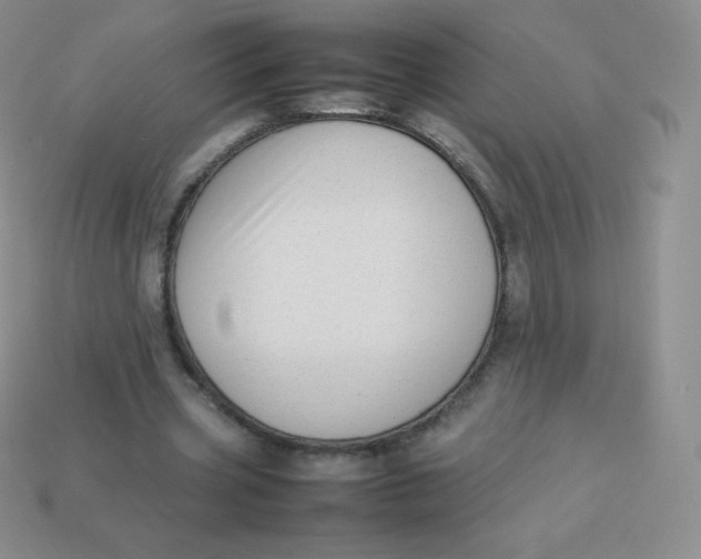 X0000113910533200910151419