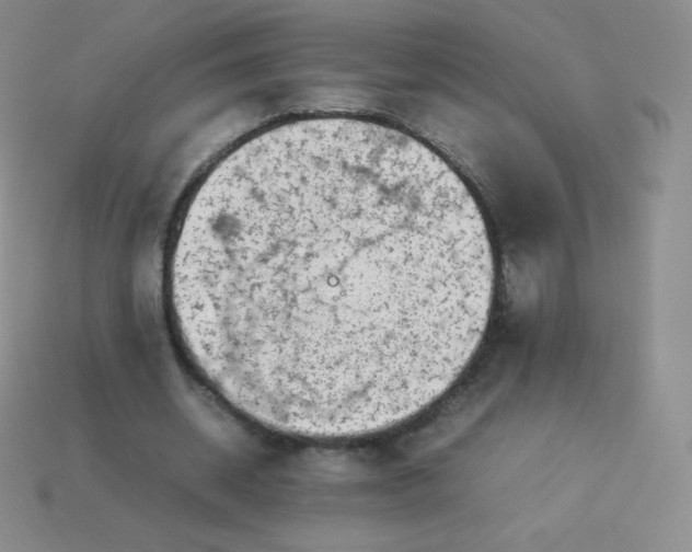 X0000113910534200910151419