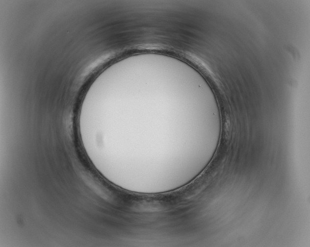 X0000113910535200910151419