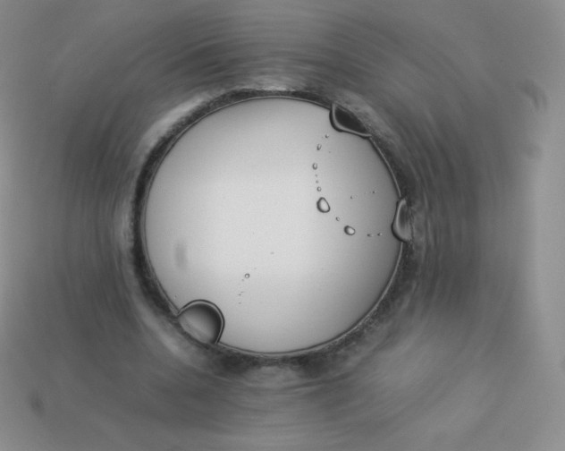 X0000113910536200910151419