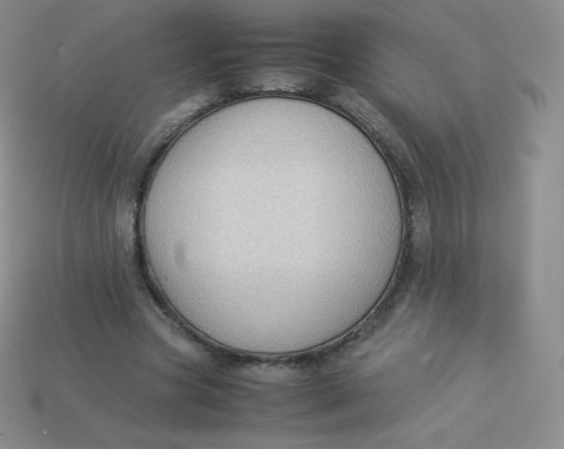 X0000113910537200910151419