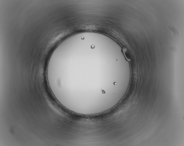 X0000113910538200910151419