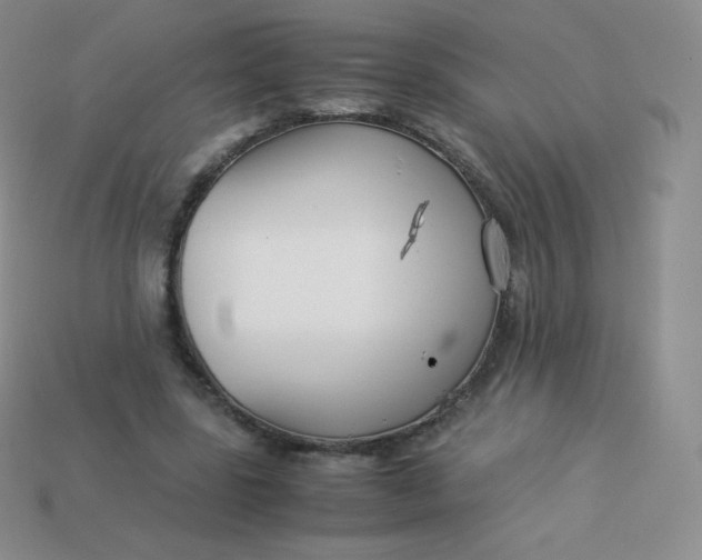 X0000113910539200910151419