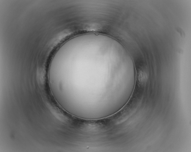 X0000113910540200910151420