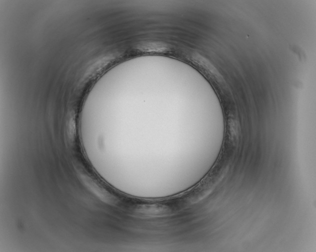 X0000113910541200910151420