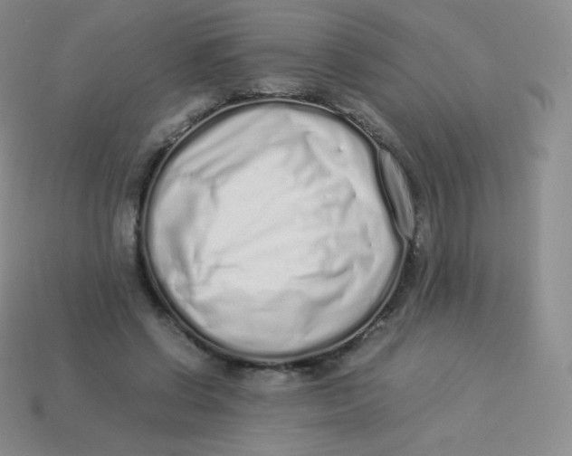 X0000113910542200910151420