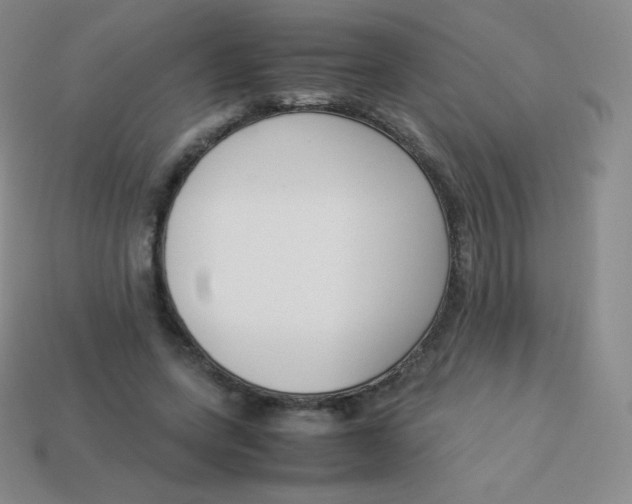 X0000113910543200910151420