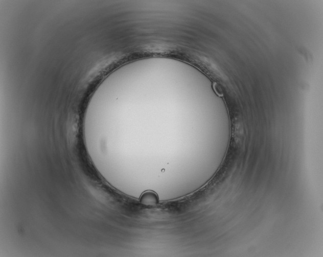 X0000113910544200910151420