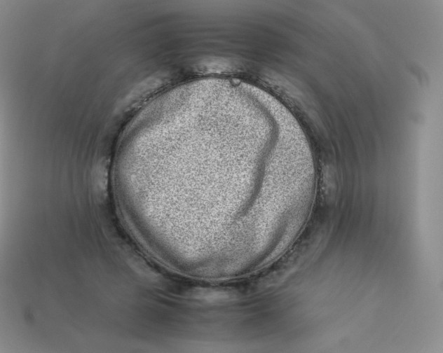 X0000113910545200910151420