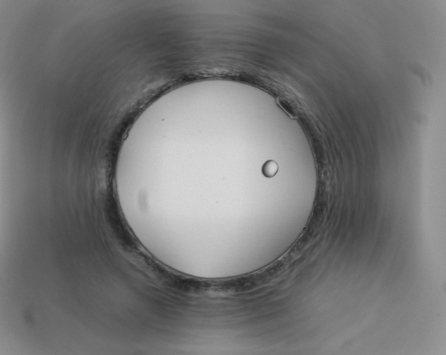 X0000113910546200910151420