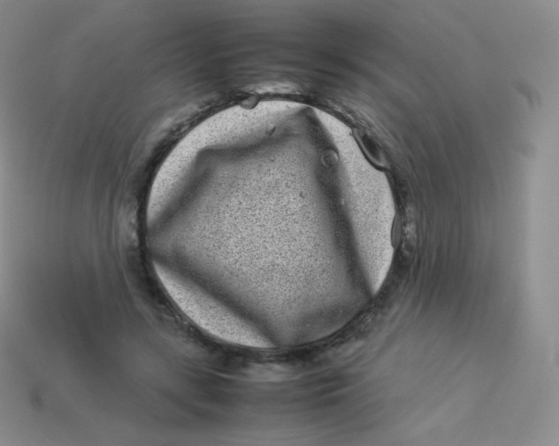 X0000113910547200910151420