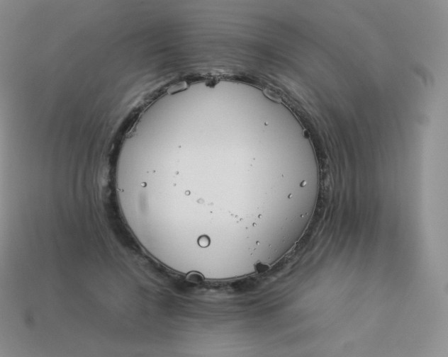 X0000113910548200910151420