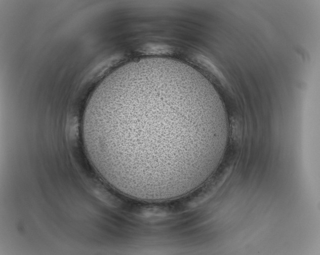 X0000113910549200910151420