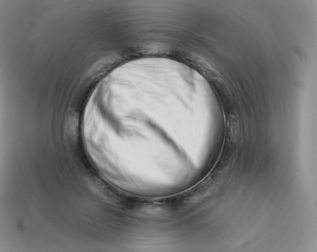 X0000113910550200910151420