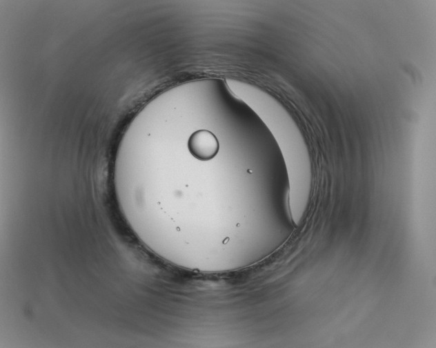 X0000113910552200910151420