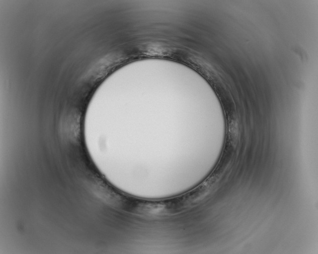 X0000113910554200910151420