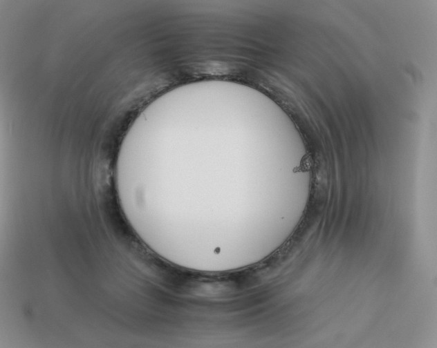 X0000113910555200910151420