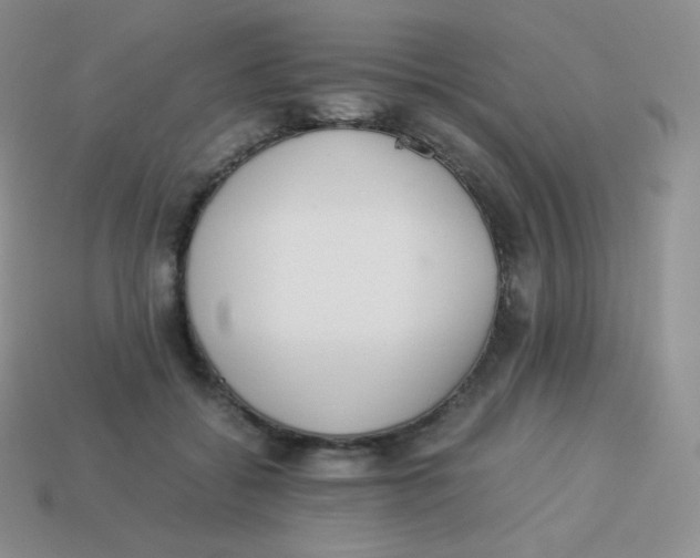 X0000113910556200910151420