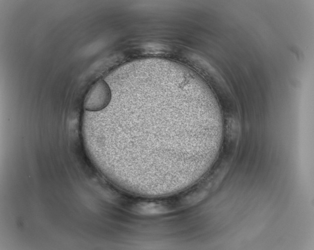 X0000113910557200910151420