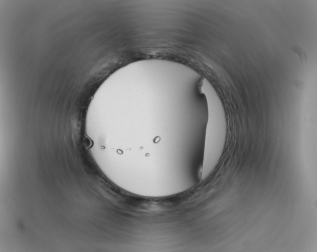 X0000113910558200910151420