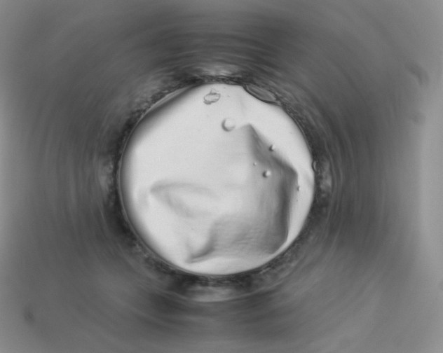 X0000113910559200910151420