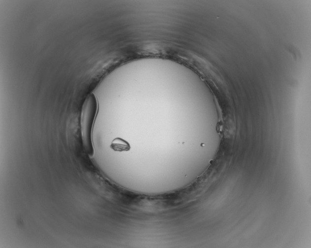 X0000113910560200910151420