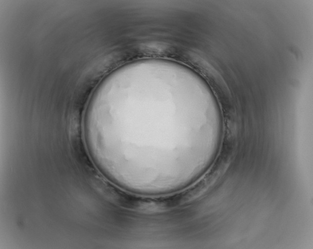 X0000113910561200910151420