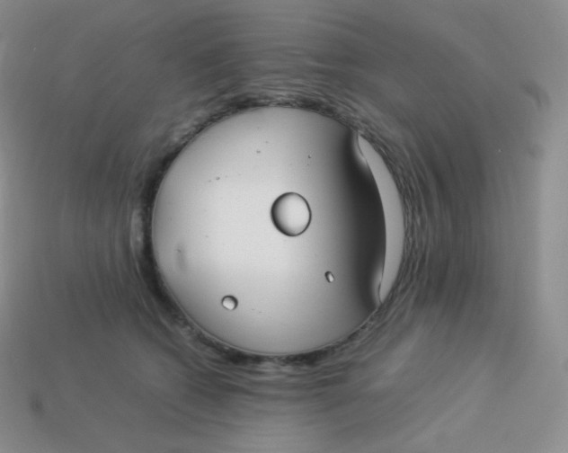 X0000113910562200910151420