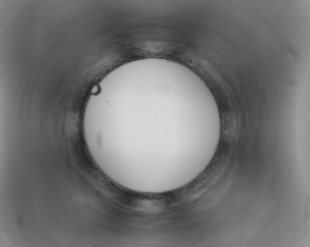 X0000113910563200910151420