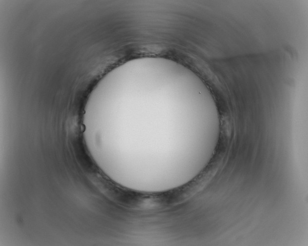 X0000113910564200910151420